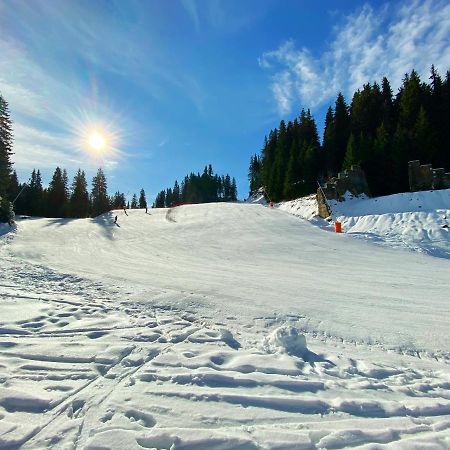 Papa Moose Pamporovo Apartment ภายนอก รูปภาพ