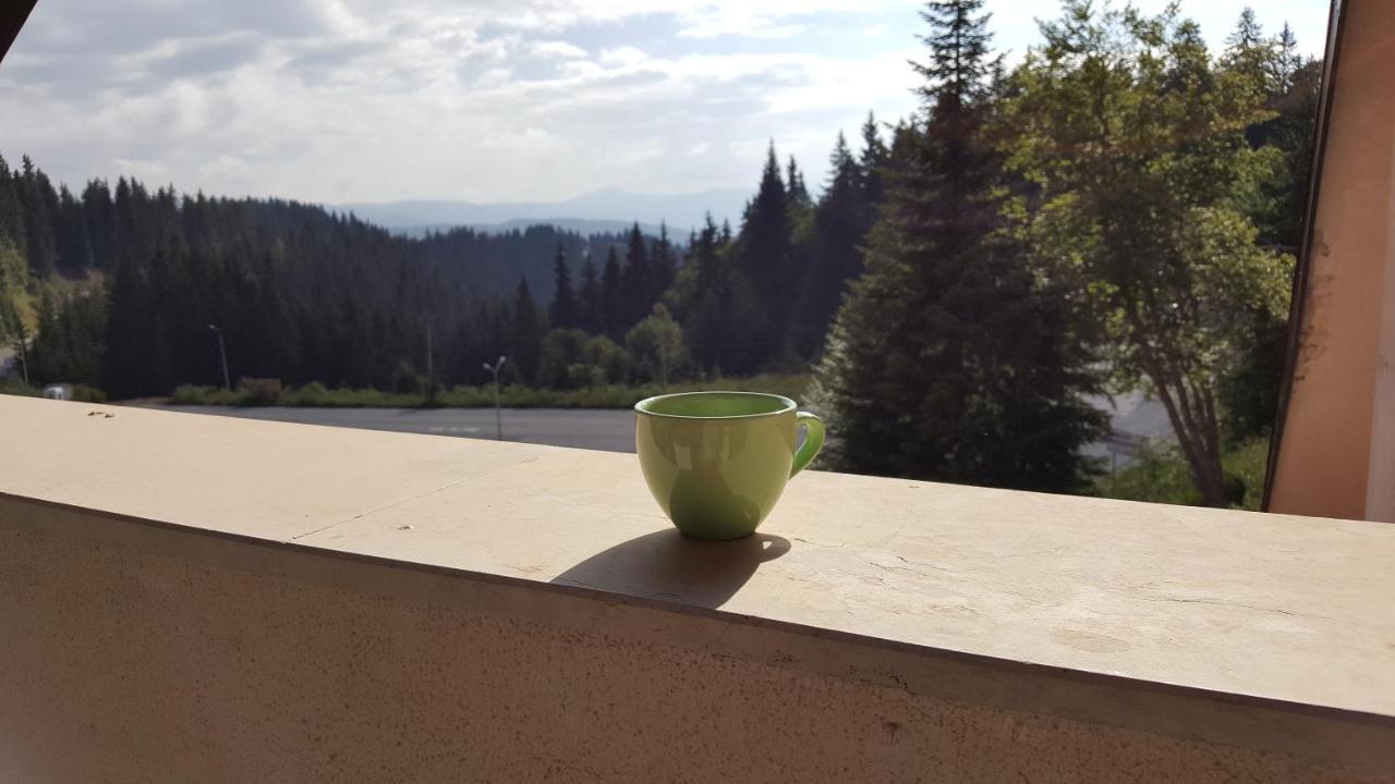 Papa Moose Pamporovo Apartment ภายนอก รูปภาพ