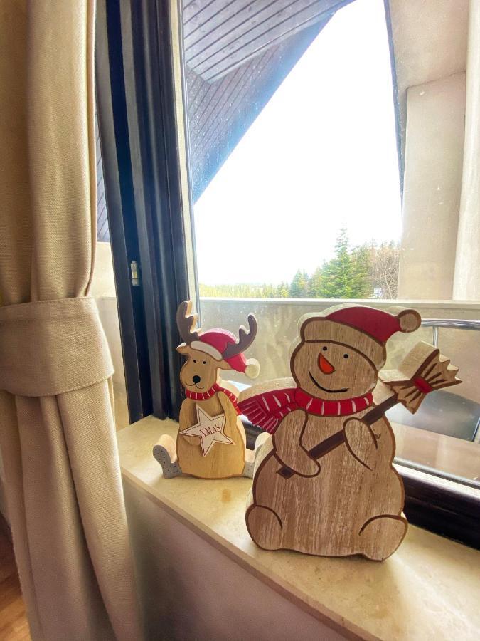 Papa Moose Pamporovo Apartment ภายนอก รูปภาพ