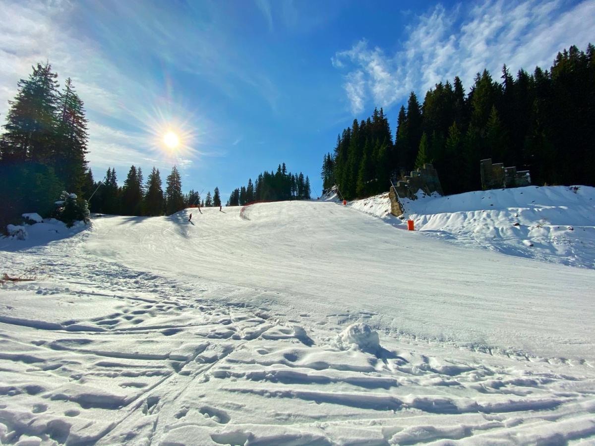 Papa Moose Pamporovo Apartment ภายนอก รูปภาพ